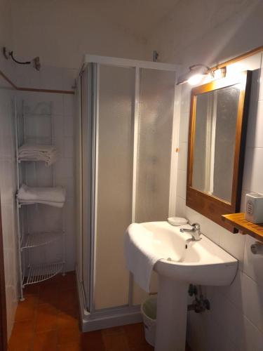 bagno con lavandino e doccia con specchio di Gli Ulivi Bed & breakfast a Fosdinovo