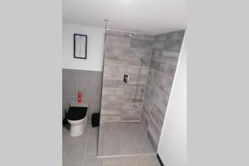 a bathroom with a shower and a toilet at Maison 50 Nuances De Bresse in Saint-Didier-en-Bresse