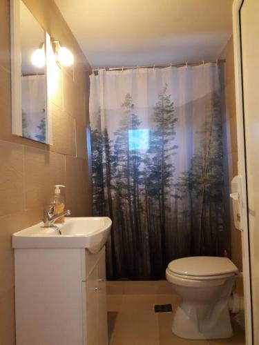 a bathroom with a toilet and a sink and a shower curtain at Casa Keea in Moieciu de Sus