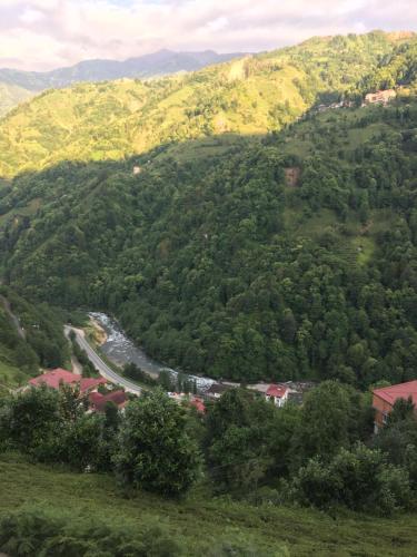 a winding road on a mountain with trees at Vadi dağ evi bungalov in Çamlıhemşin