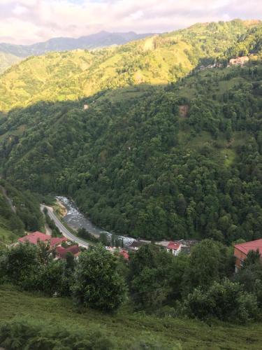 Příroda nedaleko aparthotelu