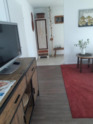 TV a/nebo společenská místnost v ubytování Appartement FreiRaum
