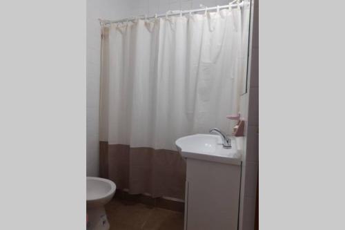 La salle de bains est pourvue d'un lavabo et d'un rideau de douche. dans l'établissement Excelente ubicación en el Bv. más lindo de Rosario, à Rosario