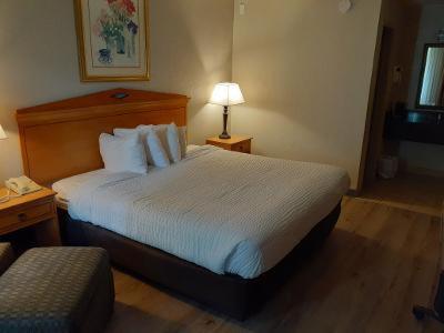 1 dormitorio con cama, lámpara y silla en Plantation Inn, en Houma
