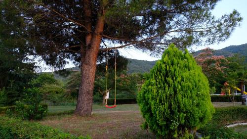 Gallery image of Casa Alegria in Olympiada