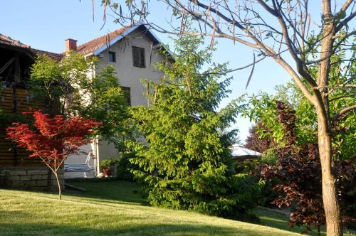 Guesthouse Djurić في نيجوتين: بيت ابيض فيه اشجار وشجيرات في ساحة