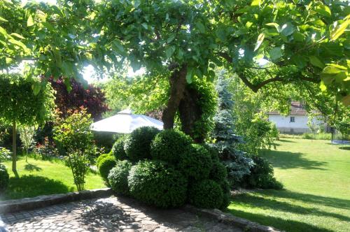 Ein Garten an der Unterkunft Guesthouse Djurić