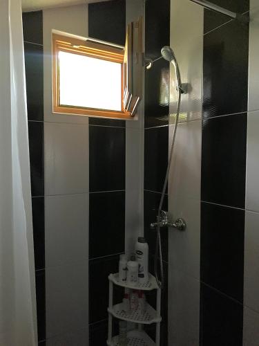 a bathroom with a shower and a window at Apartment Sunny Place in Bihać