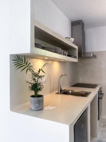 a kitchen with a sink and a plant on the counter at LULU - Self Catering Accommodation in Monemvasia