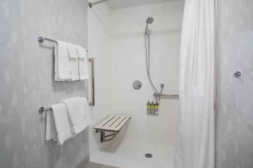 Holiday Inn Express & Suites - Denver NE - Brighton, an IHG Hotel tesisinde bir banyo