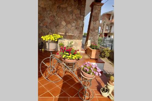 a bunch of flowers in pots on a patio at Dolce casa spiaggia&relax in Lotzorai