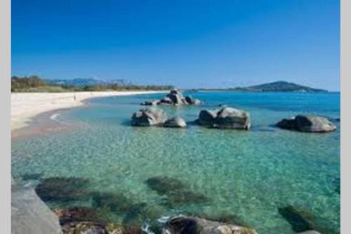 a group of elephants in the water on a beach at Dolce casa spiaggia&relax in Lotzorai