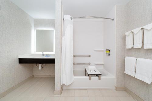 A bathroom at Holiday Inn Express & Suites - Romeoville - Joliet North, an IHG Hotel