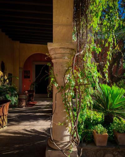 Ein Garten an der Unterkunft Hacienda de los Santos