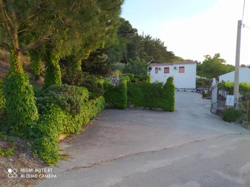 a driveway with bushes and a white building in the background at B&B Troisi in Racalmuto