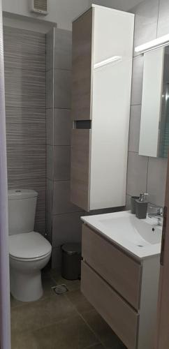a bathroom with a white toilet and a sink at Loutraki Vibes Apartments 2 in Loutraki