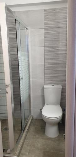 a bathroom with a toilet and a glass shower at Loutraki Vibes Apartments 2 in Loutraki