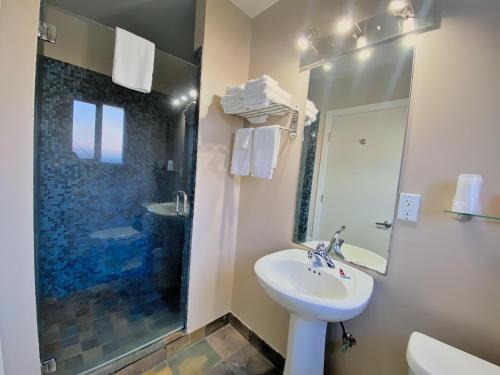 La salle de bains est pourvue d'un lavabo et d'une douche. dans l'établissement Ashland Motel - Oregon, à Ashland
