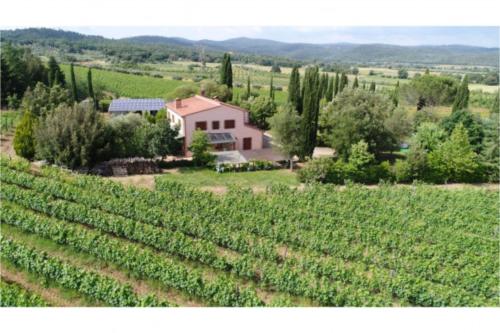 - une vue aérienne sur un vignoble avec une maison dans l'établissement Appartamento Tenuta di Litiano - Happy Rentals, à Roccastrada
