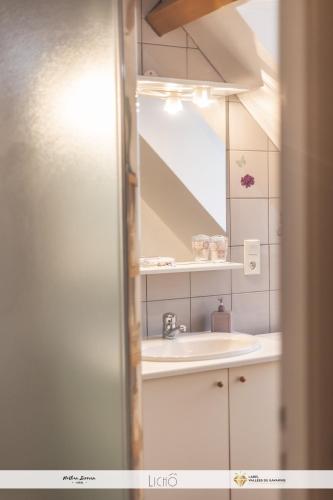 une salle de bain avec un lavabo et un miroir dans l'établissement La P'tite Marmotte, à Gavarnie