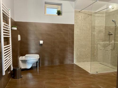 バラトンフレドにあるBalkon Apartmanház Panzióのバスルーム(トイレ、ガラス張りのシャワー付)