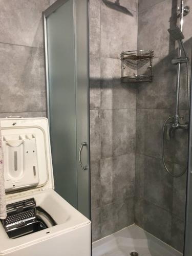 a bathroom with a shower with a washing machine at Villa Bulli in Zatoka