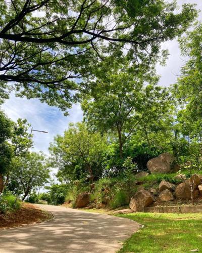 a road with trees and rocks on the side at Hyatt Hyderabad Gachibowli in Hyderabad
