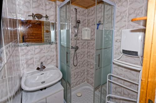 een badkamer met een wastafel en een douche bij le burel 5 personnes in Lanslevillard
