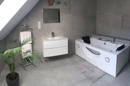 a bathroom with a sink and a toilet and a mirror at Apartmán 3KK 80 m2 s vířivkou a saunou in Jihlava