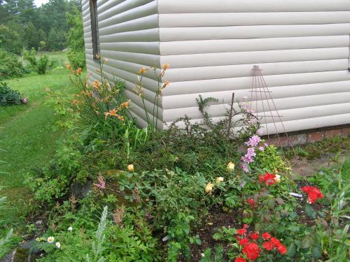 a garden of flowers in front of a house at Apartement in Kipi