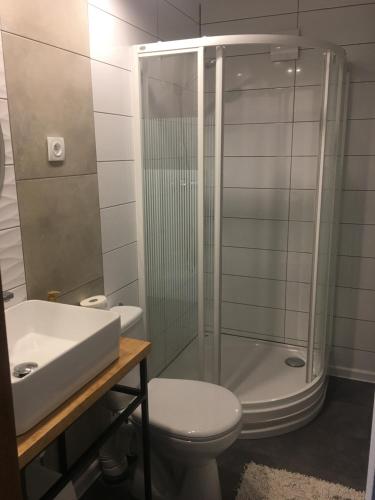 a bathroom with a shower and a toilet and a sink at Mała Ostoja in Polanica-Zdrój