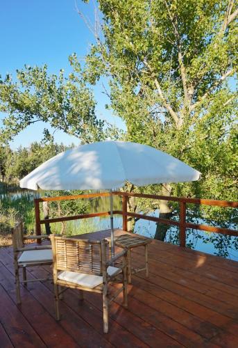 Gallery image of Agriturismo La Fontanella & Glamping in Suvereto