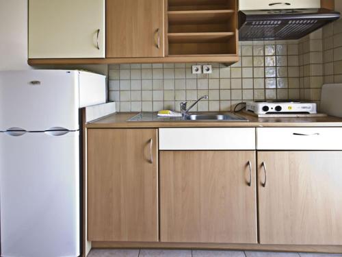 A kitchen or kitchenette at Ikaros Apartments