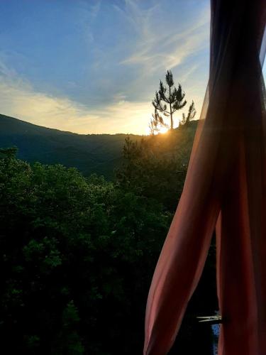 a view of the sun setting behind a tree at Vila Eva in Međuvršje
