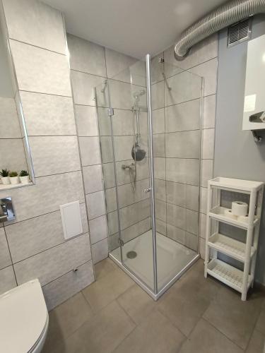 a shower with a glass door in a bathroom at Lovely place-apartament Oświęcim in Oświęcim