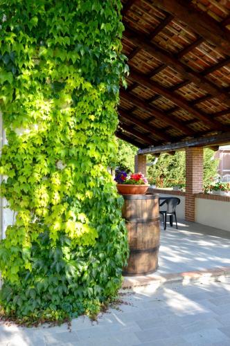 a ivy covered wall with a table and a barrel at Agriturismo IL FRA' in Tigliole