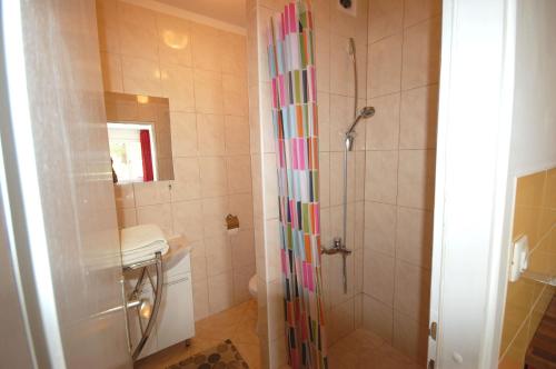 W łazience znajduje się prysznic i umywalka. w obiekcie Apartment Blanka w mieście Nijvice