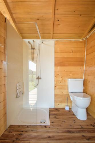 a bathroom with a shower and a toilet and a tub at Natura Camp Karli in Kaštelir