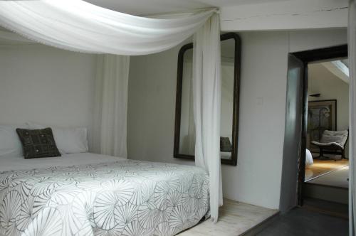 a bedroom with a bed with a canopy and a mirror at Appartement ciel de fugeres in Le Puy en Velay