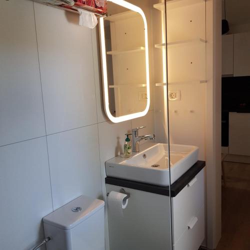 a small bathroom with a sink and a mirror at Peaceful Cherry Place in Portorož