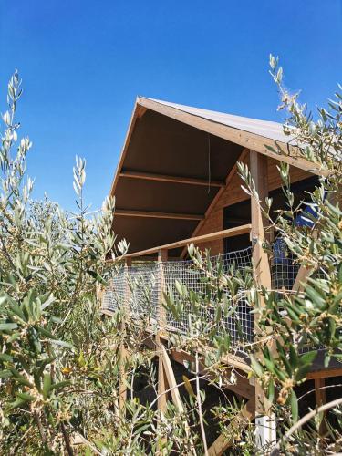 Glamping CirelliWines Abruzzo