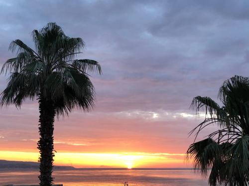 a palm tree on the beach at sunset at Mareblù in Scilla
