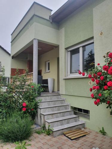 ein grünes Haus mit einer Treppe, die zu einem Fenster führt in der Unterkunft Suite-Airport-Basel in Blotzheim