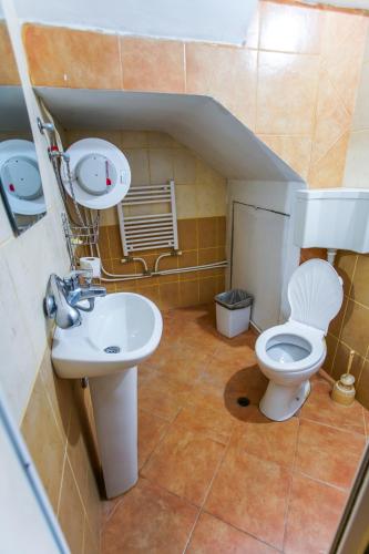 a bathroom with a toilet and a sink at Guest House Planinska Sreshta in Balkanets