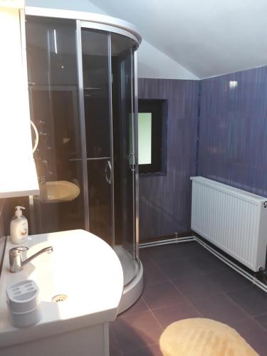 La salle de bains est pourvue d'une douche, d'un lavabo et de toilettes. dans l'établissement Casa Mariana, à Căpăţîneni-Ungureni