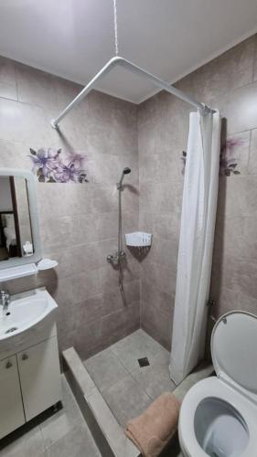 a bathroom with a shower and a toilet and a sink at Casa Amy in Eforie Nord