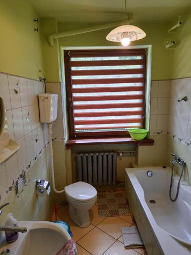 łazienka z wanną, toaletą i oknem w obiekcie Pokoje u Zajdy w Zawoi