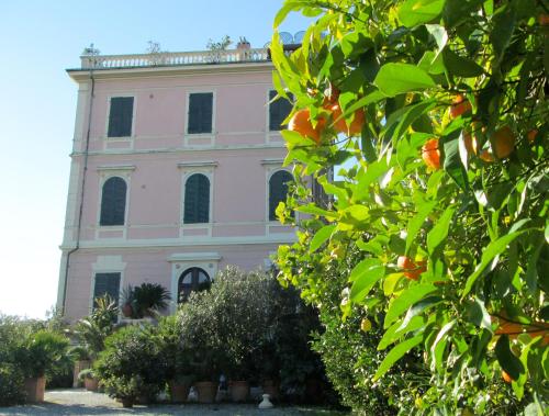 Сад в Hotel Italia