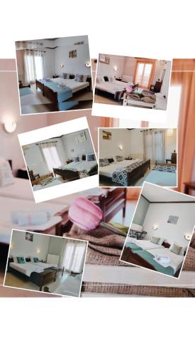 ネア・ローダにあるHotel Alexandraのギャラリーの写真
