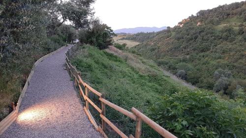 a path on a hill with a wooden fence at Bio Agriturismo Valle dei Calanchi in Castiglione in Teverina